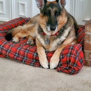 Meet your Posher, Brad